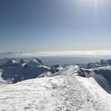 Koselig Hus I Havna Leilighet *